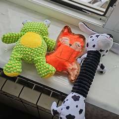 Фото отзыва 10450017