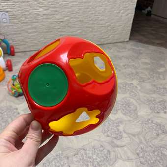 Игрушка Zebratoys сортер: отзыв пользователя Детский Мир