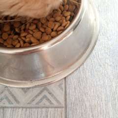 Фото отзыва 11155994