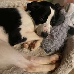 Фото отзыва 11084676