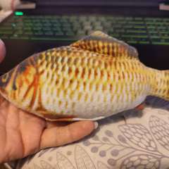 Фото отзыва 10019429