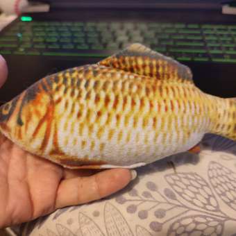 Игрушка для кошек Barbaks Карась-Тарас с кошачьей мятой 20*5*7см Серая: отзыв пользователя. Зоомагазин Зоозавр