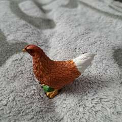 Фото отзыва 3075351