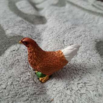 Фигурка Collecta Курица: отзыв пользователя Детский Мир