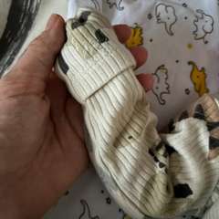 Фото отзыва 10542695