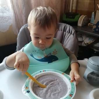 Каша молочная Gerber мультизлаковая с черникой и малиной 180г с 6месяцев: отзыв пользователя ДетМир