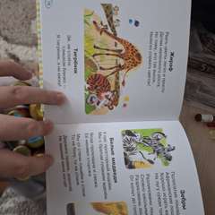 Фото отзыва 11024885