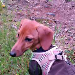 Фото отзыва 10633936