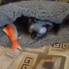 Фото отзыва 10877775