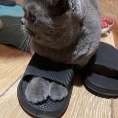 Фото отзыва 10338164