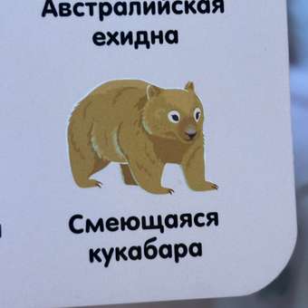 Книга АСТ Найди 101 животное В зоопарке: отзыв пользователя Детский Мир