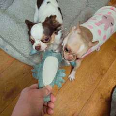 Фото отзыва 11050563