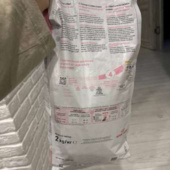Корм сухой для котят ROYAL CANIN Sterilised 2кг стерилизованных: отзыв пользователя. Зоомагазин Зоозавр
