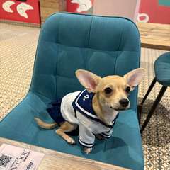 Фото отзыва 11271902