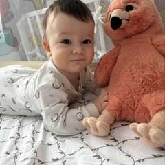 Фото отзыва 10829762