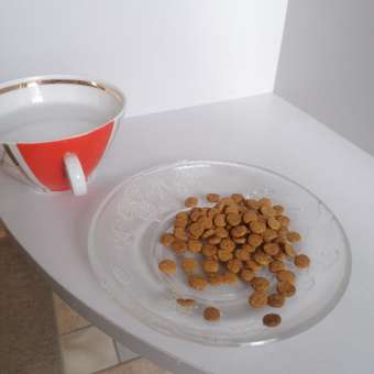 Корм сухой для кошек MONGE 400г курица стерилизованных: отзыв пользователя. Зоомагазин Зоозавр