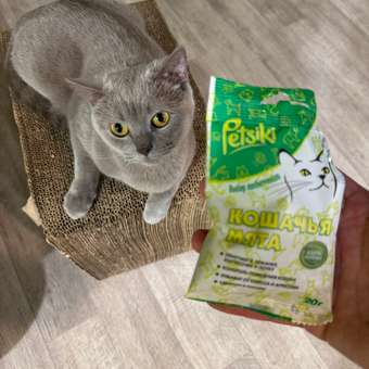 Кошачья мята Petsiki 20г в пакете: отзыв пользователя. Зоомагазин Зоозавр