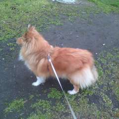 Фото отзыва 10604230