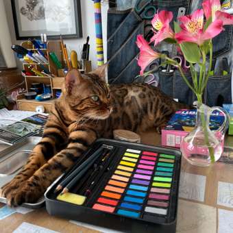 Краски акварель Classicolor 36 цв.: отзыв пользователя Детский Мир