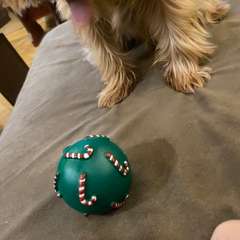 Фото отзыва 10826176