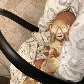 Автокресло Babyton Betti 0+ iceberg green 0 (0 -13 кг) серый: отзыв пользователя Детский Мир