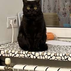 Фото отзыва 10683777