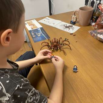 Конструктор LEGO Harry Potter Арагог в запретном лесу 195 дет.: отзыв пользователя ДетМир