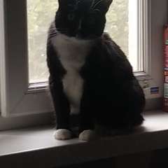 Фото отзыва 11279595