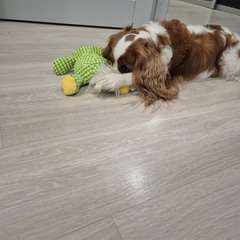 Фото отзыва 10842675