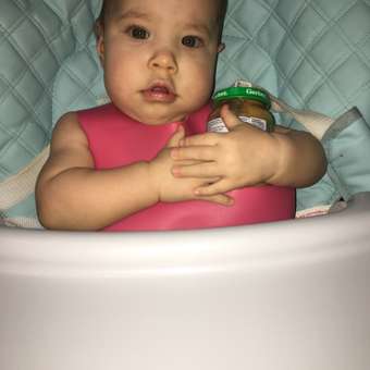 Пюре Gerber Говядина по-домашнему с морковью с 9 мес 190 г: отзыв пользователя ДетМир