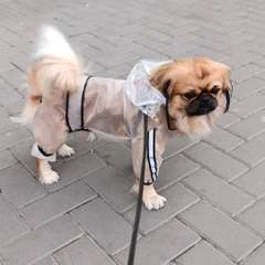 Видео отзыва 10802615