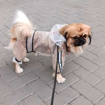 Дождевик для собак и кошек Зоозавр: отзыв пользователя. Зоомагазин Зоозавр