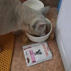 Фото отзыва 10731274