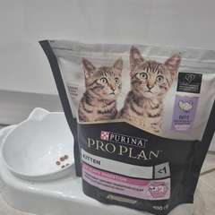 Фото отзыва 10963254