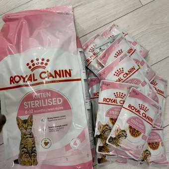 Корм сухой для котят ROYAL CANIN Sterilised 2кг стерилизованных: отзыв пользователя. Зоомагазин Зоозавр