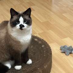 Фото отзыва 10031097