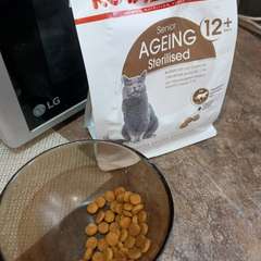 Фото отзыва 10905657