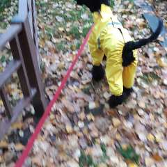 Видео отзыва 10579011