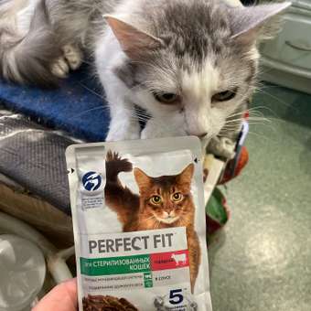 Корм для стерилизованных кошек PerfectFit с говядиной в соусе 75г: отзыв пользователя магазина низких цен ЕЩЁ