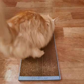 Когтедралка для кошек РАВ с кошачьей мятой большая 29689: отзыв пользователя. Зоомагазин Зоозавр