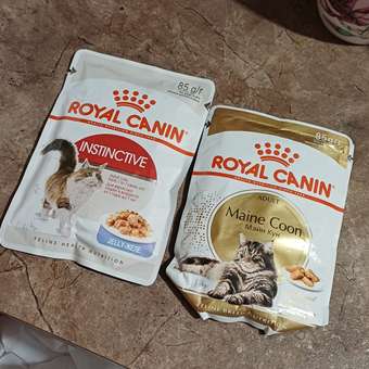 Корм влажный для кошек ROYAL CANIN Instinctive 85г желе пауч 77848: отзыв пользователя. Зоомагазин Зоозавр