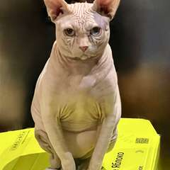 Фото отзыва 10747100