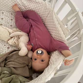 Пустышка LOVI силикон анатомическая от 6 мес. 2 шт.: отзыв пользователя ДетМир