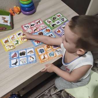 Настольная игра Raduga Kids: отзыв пользователя Детский Мир