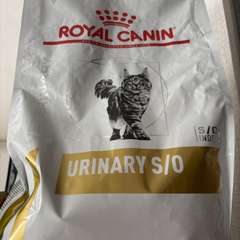 Фото отзыва 11079050