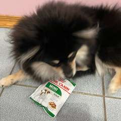 Фото отзыва 10949918