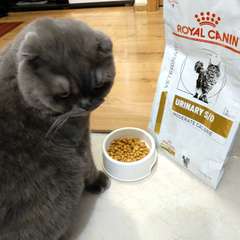 Фото отзыва 11028059