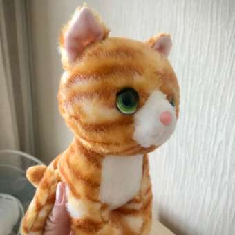 Игрушка мягкая Aurora котик Табби: отзыв пользователя ДетМир