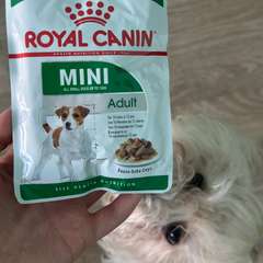 Фото отзыва 10976099