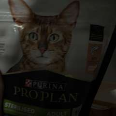 Фото отзыва 10644000